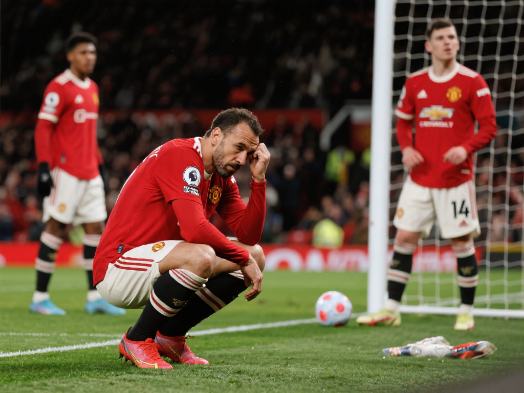 若能回归 若能回归